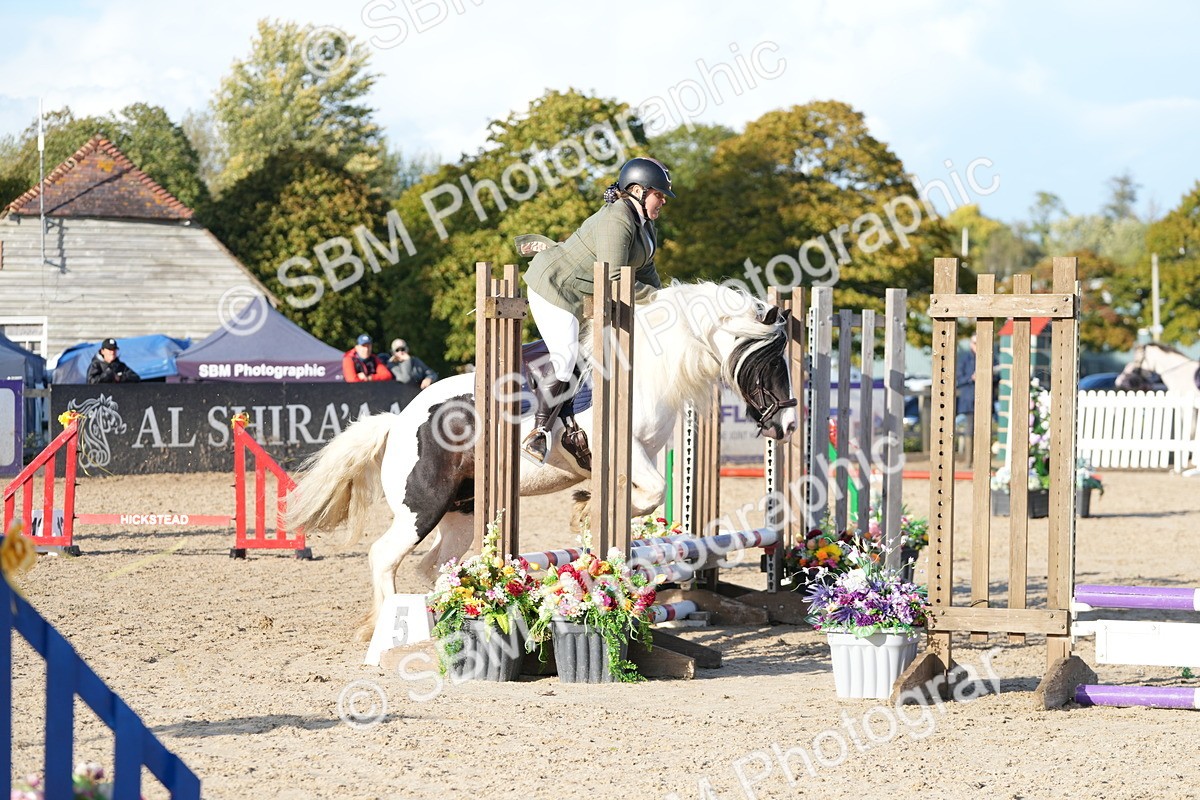 SBM_28972 - J43 - Horse & Hound Open 50cm