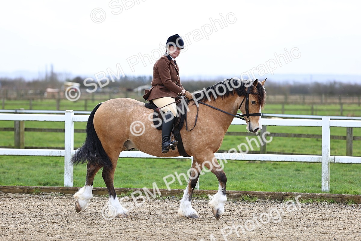 SBM_006885 - Class 29 - 30 - M&M Pure Novice Small-Large Breeds