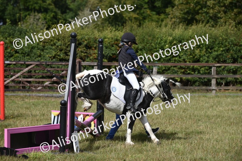 20250831-1813 - Class 8 - Hoof and Foot