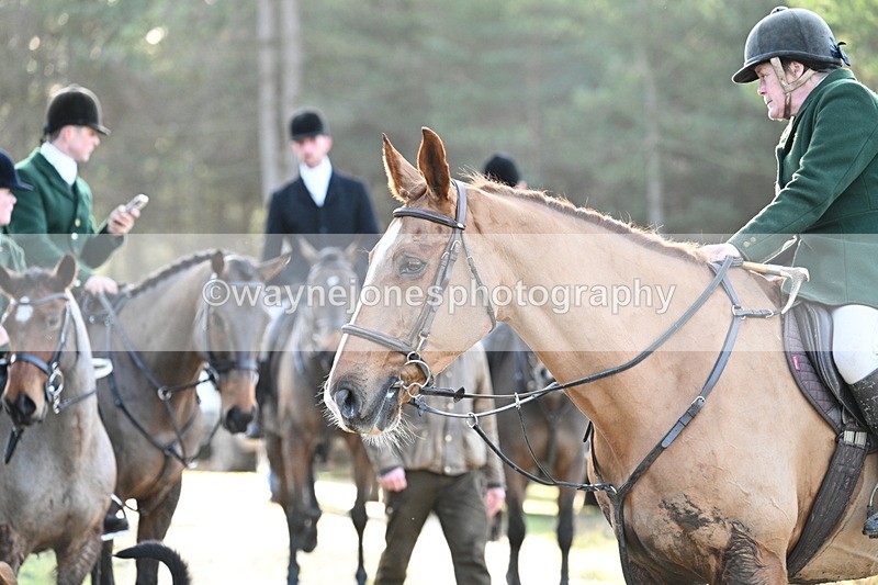 WJ7_7576 - Line 3 (no line 4 or 5)