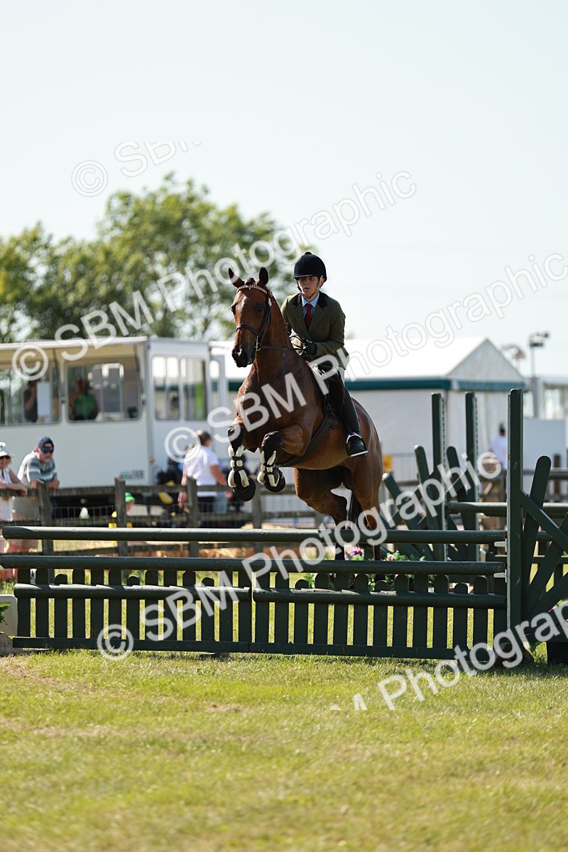 SBM_18831 - Class 114 - RIHS & SEIB Open Working Show Horse