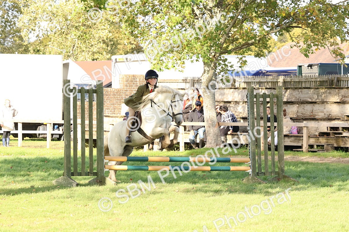 SBM_52595 - S13 - Pony Club Pony