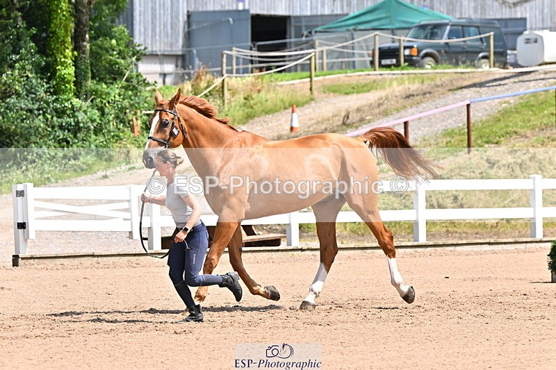 240718A-105248-01188 - Trot Up 12pm to 1pm