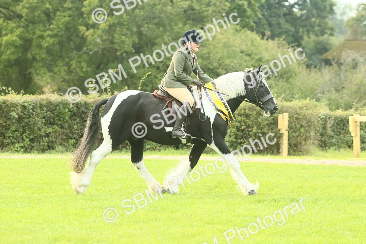 SBM_75336 - Super Supreme Championship