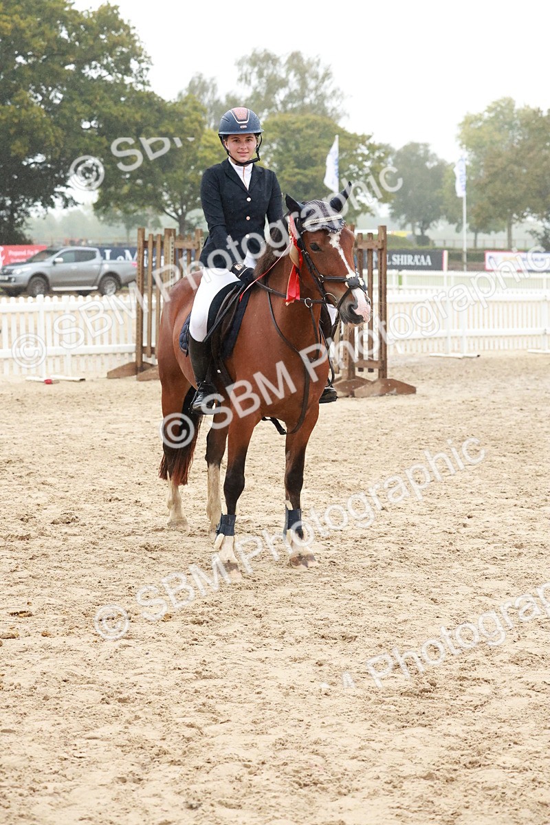 SBM_73642 - Supreme Championship Junior Pony 60cm & 65cm
