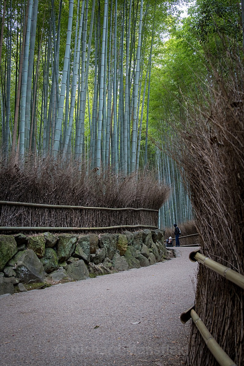  - Japan