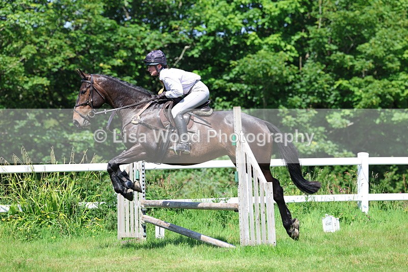 3E7A7049 - Class 30: Novice Working Hunter
