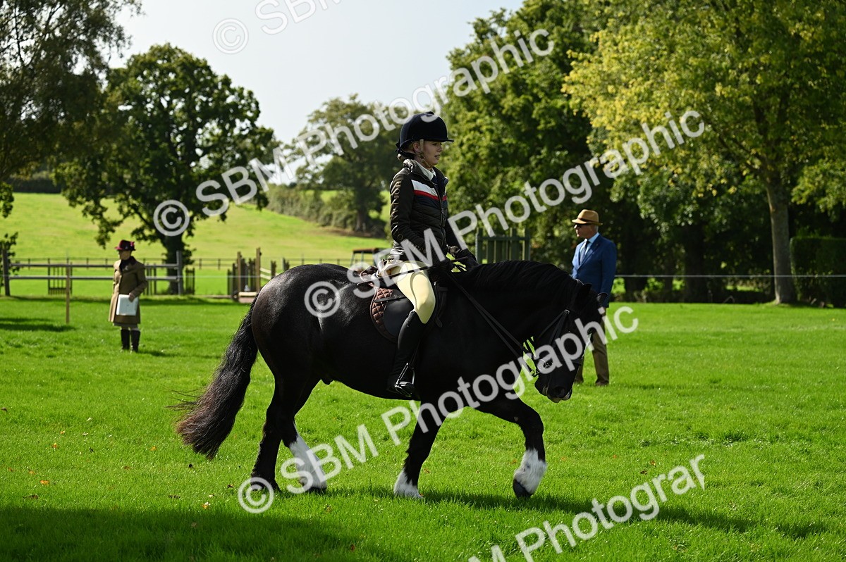 SBM_02724 - S3 - TSR Ridden Pony Showing