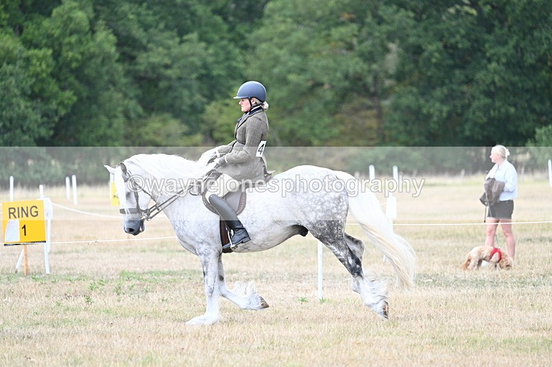 WJ7_5128 - Class 12 Ridden Cob