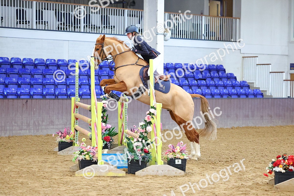 SBM_003195 - Class 15 - Senior Newcomers 1.10m