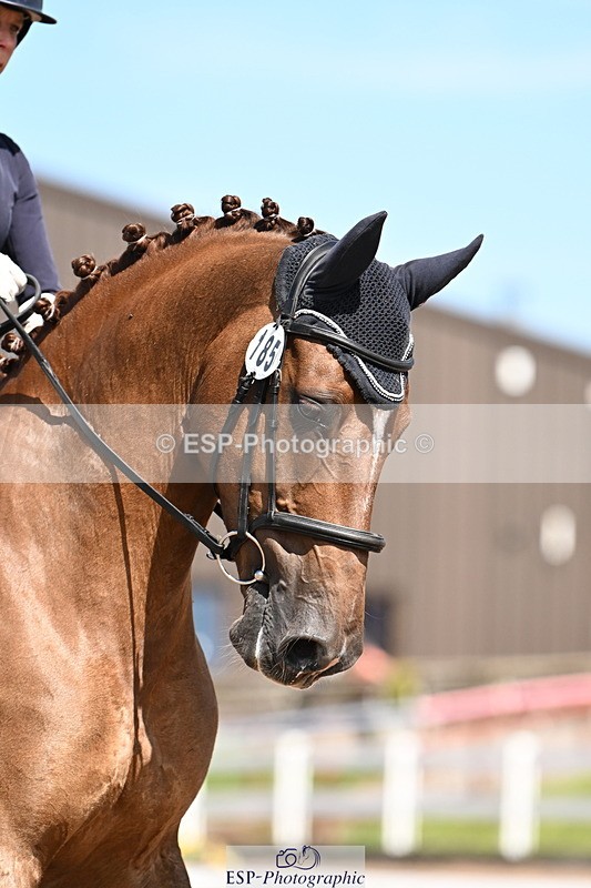 240816A-132920-05079 - 185-Gillian.Hill-Dunaire.Hugo