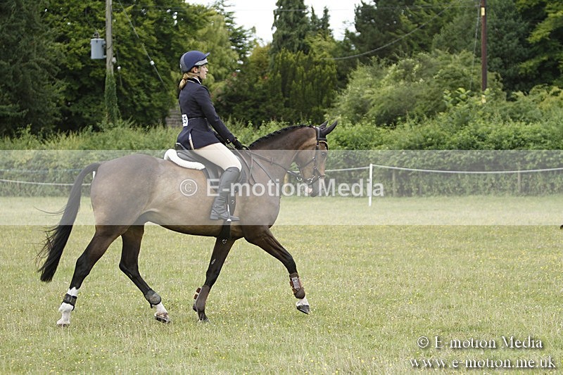 BVR160717-926 - Ring 3 BVRC Show 16/07/17