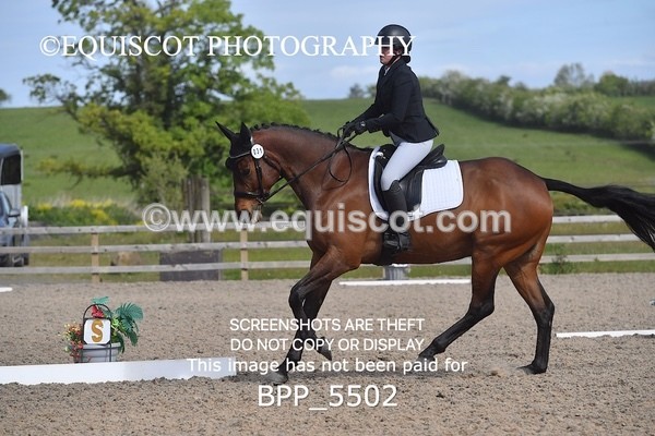 BPP_5502 - 31 R SHERRY