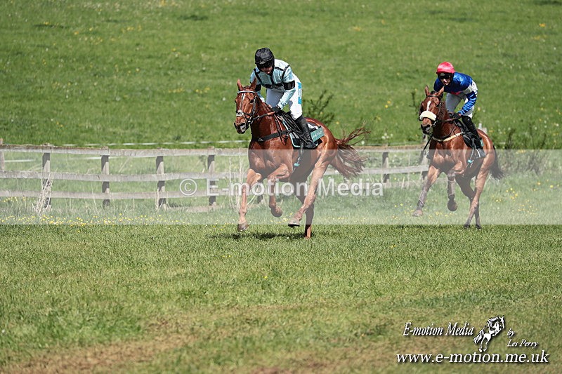 PtP 050525 33 - Mollington Races 05/05/25