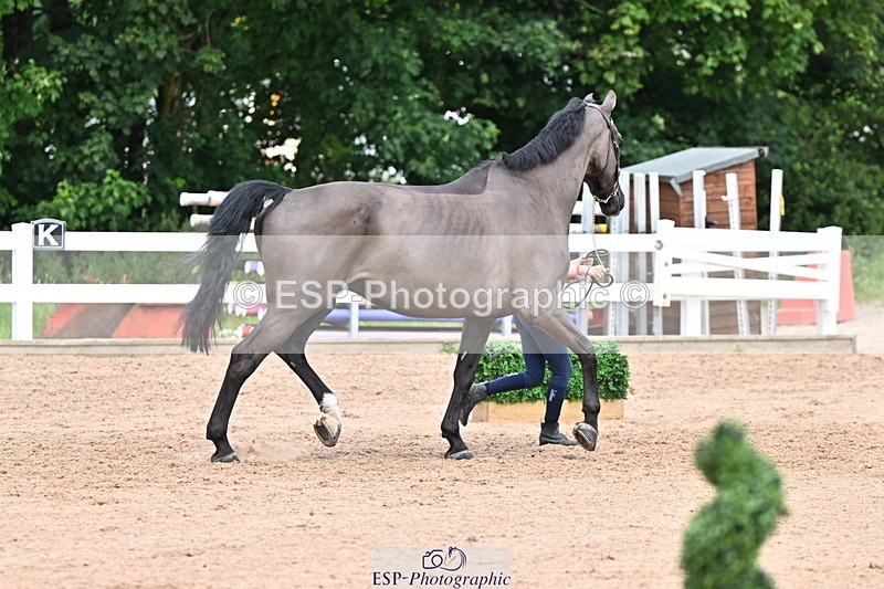 240718A-105323-01936 - Trot Up 2pm to 3pm - This folder is not in time order