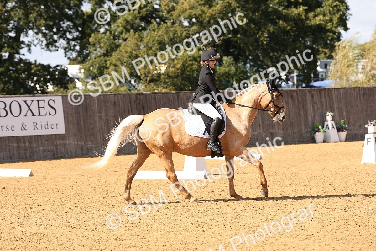 SBM_47406 - D12 - Small Tour Championship prelim 2