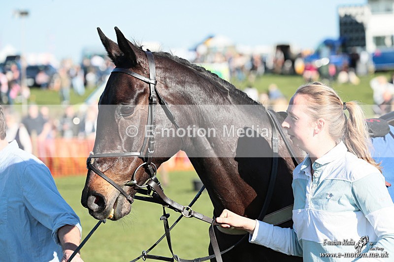 PtP 210326 906 - VWH Cirencester Races 21/03/26