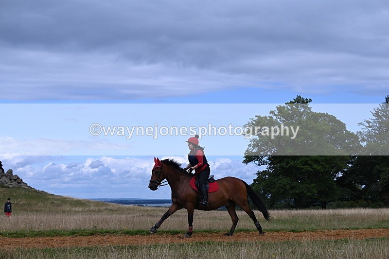 DSC_8876 - Time at Statue 14:33 to 15:10