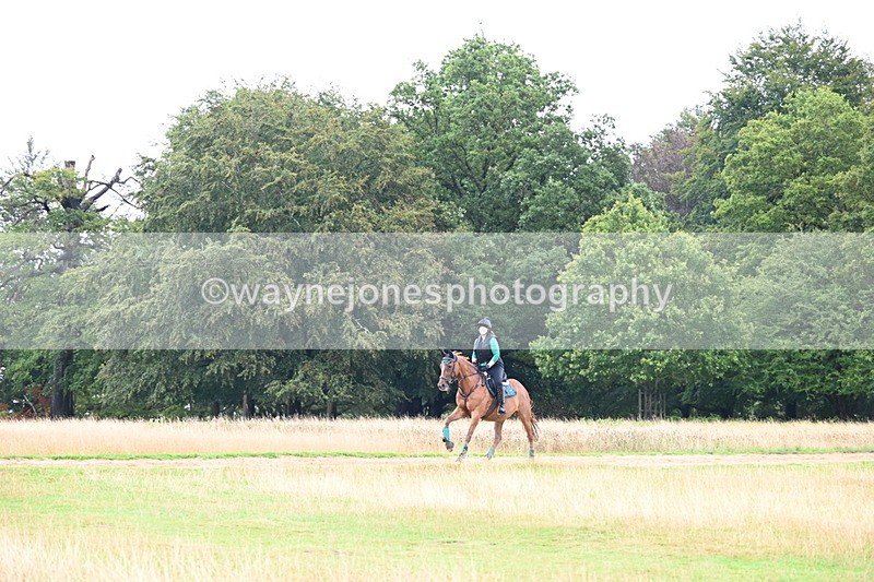 DSC_3725 - Time at Statue 13:51 to 14:55