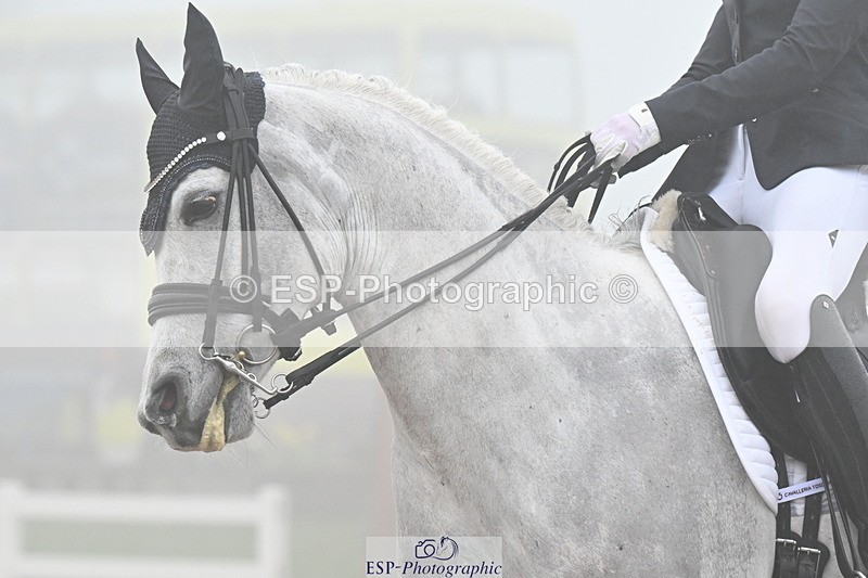 240217A-142618-03598 - 238-Josephine.Fenton-Kashan.Maheer.Ibn.Montroze