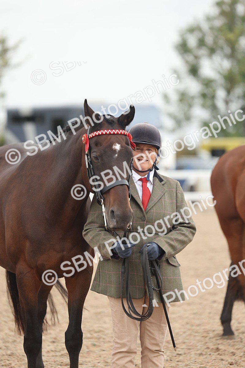 SBM_19878 - Class 318 - IH Part Bred Horse-Pony