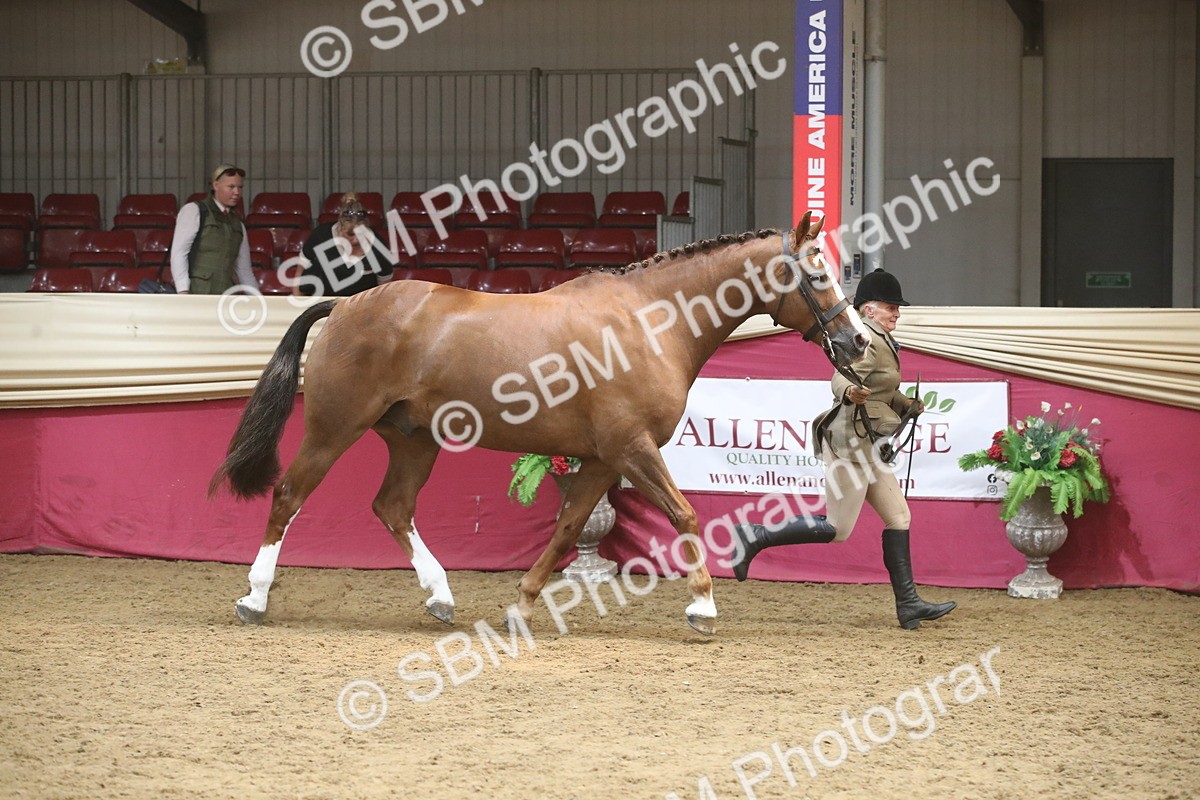 SBM_05513 - Class 9R - Regional IH Pre-Vet
