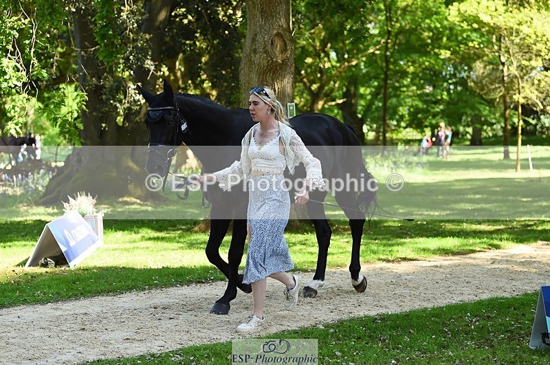 230524-153314-00350 - 358-EQUADOR_MW-Toots_Bartlett-WEDTrotUp+DR