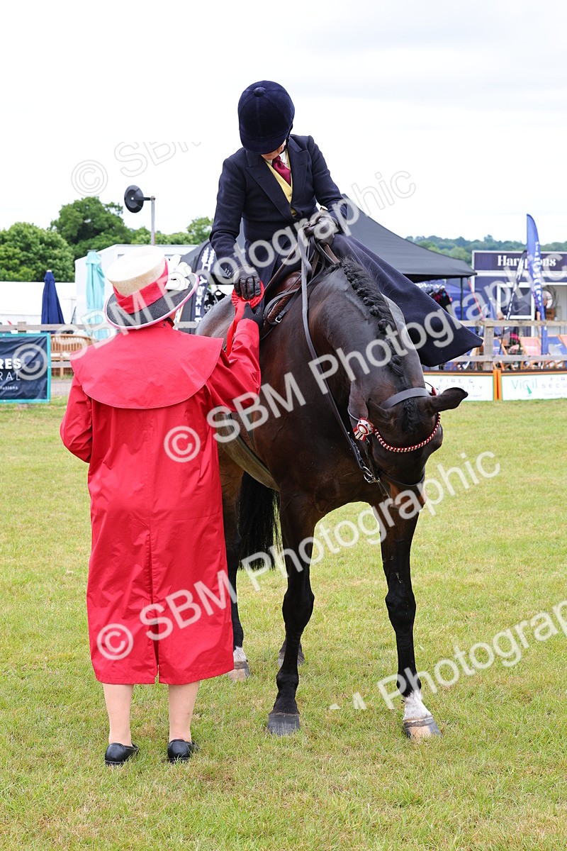 SBM_02969 - Class 9-11 Side Saddle including LIHS Rising Star Ladies Show Horse