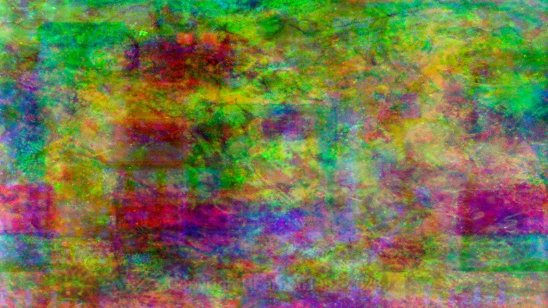 EXCHANGE lll - EXCHANGE 2021