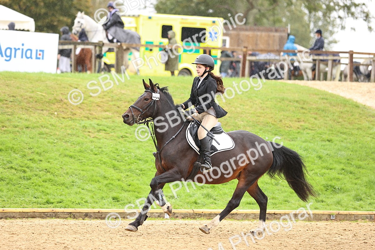 SBM_69992 - Supreme Championship 80cm 85cm