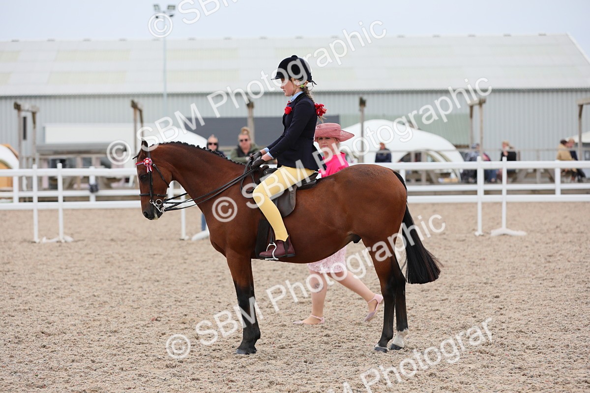 SBM_18091 - Class 316 Best Pony/Rider Combination