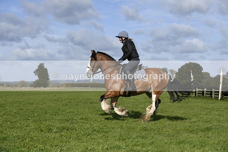 _DSC5694 - Time 10:49 to 11:23