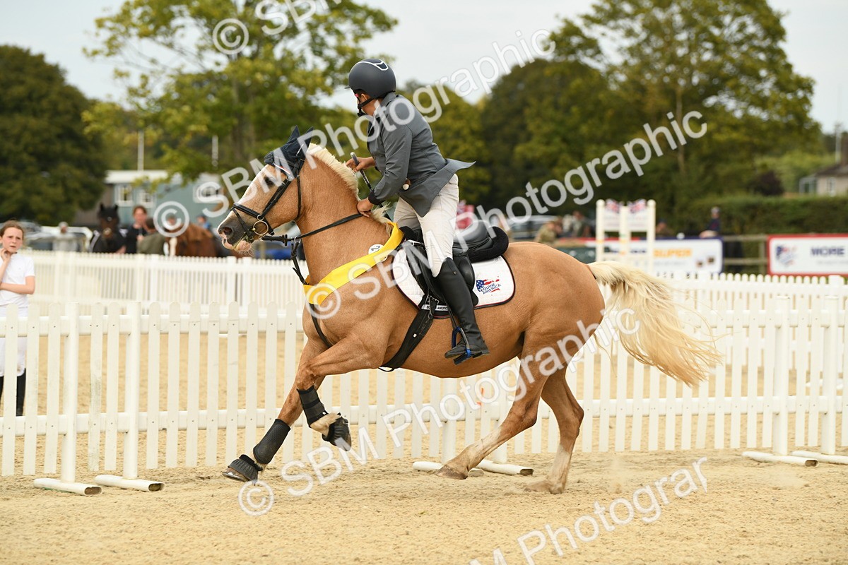 SBM_71204 - J15 - Junior Pony 70cm Championship