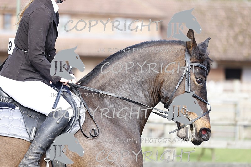 _R6A8804 - Class 8 80cm