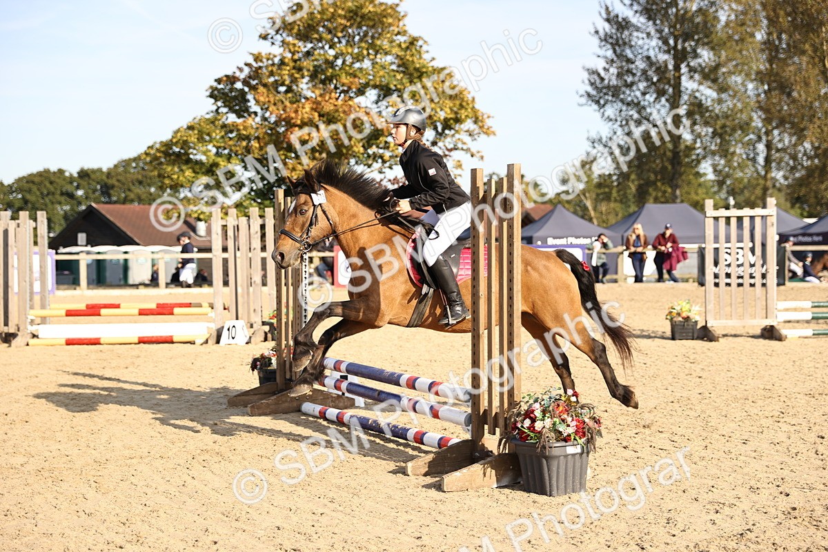 SBM_59596 - J11 - Junior Pony 50cm Championship