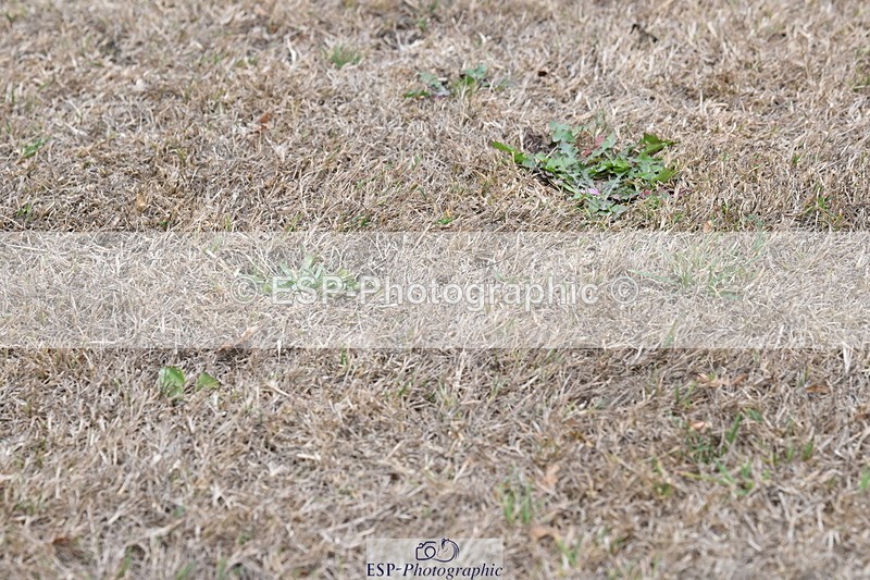 250820A-174547-12240 - Wednesday Presentations