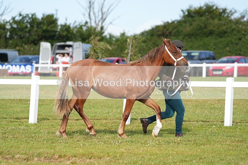 DSC04890 - Class 47: NPS M&M Yearling