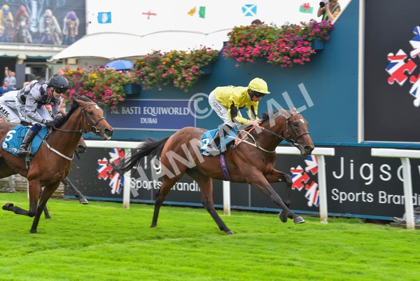 230923-Race 3-Politico-6287 - Race 3 3.10pm Happy 60th Birthday Angela Clark Nursery Handicap