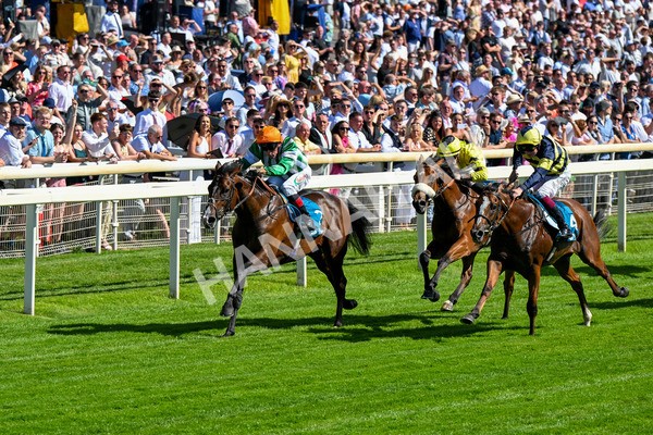 120725-Race 5-Amazing Journey-0410 - Race 5 4.15pm John Smith's Nursery Handicap