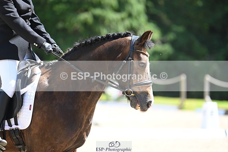 230811-133559-01545 - Cls 2 Prelim Silver Start to 14.30 break