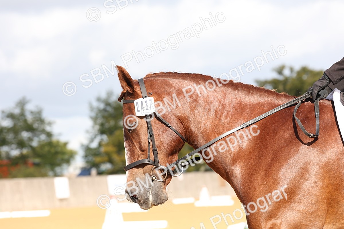 SBM_02276 - D10 - Small Tour Championship Prelim 2