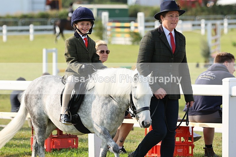 JPP_0146 - Class 14: Cornish Combination Leading Rein