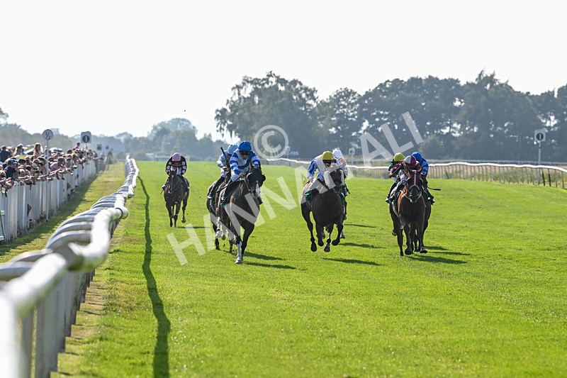 300824-Race 6-Havana Sky-6339 - Race 6