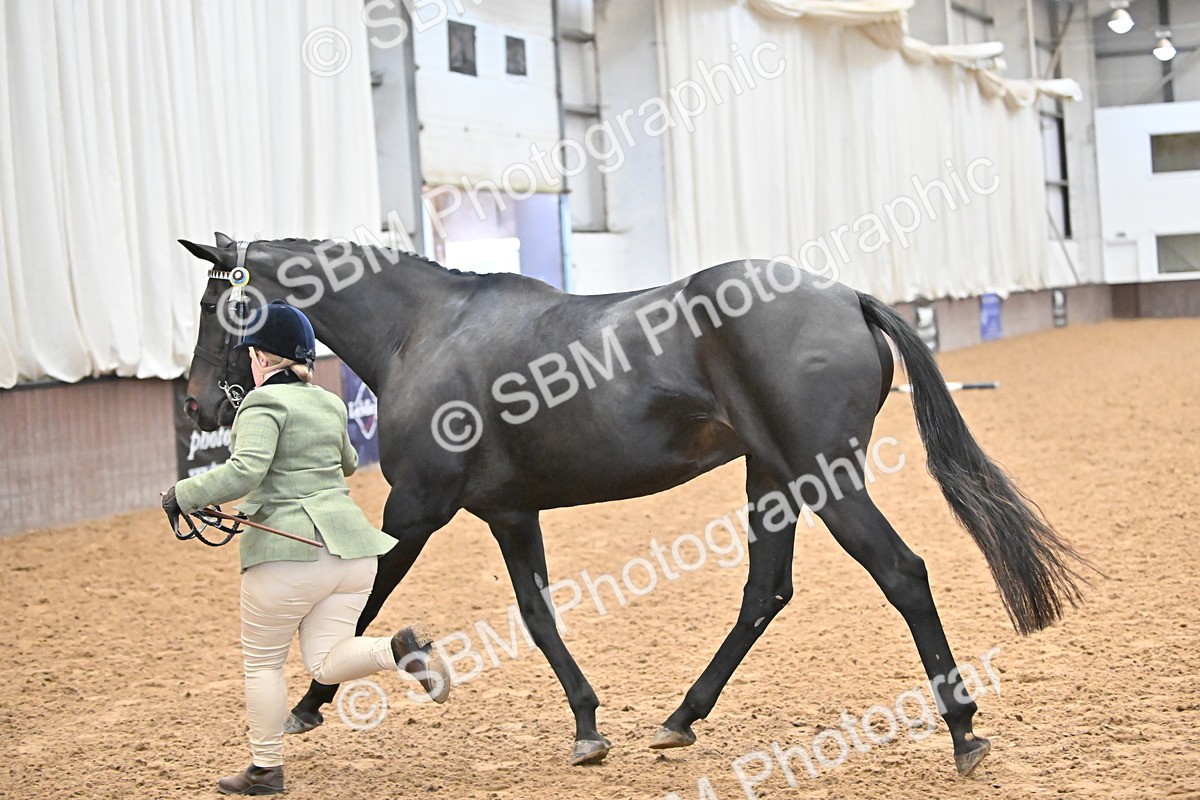 SBM_000244 - Class 7 - ROR Tattersalls In Hand