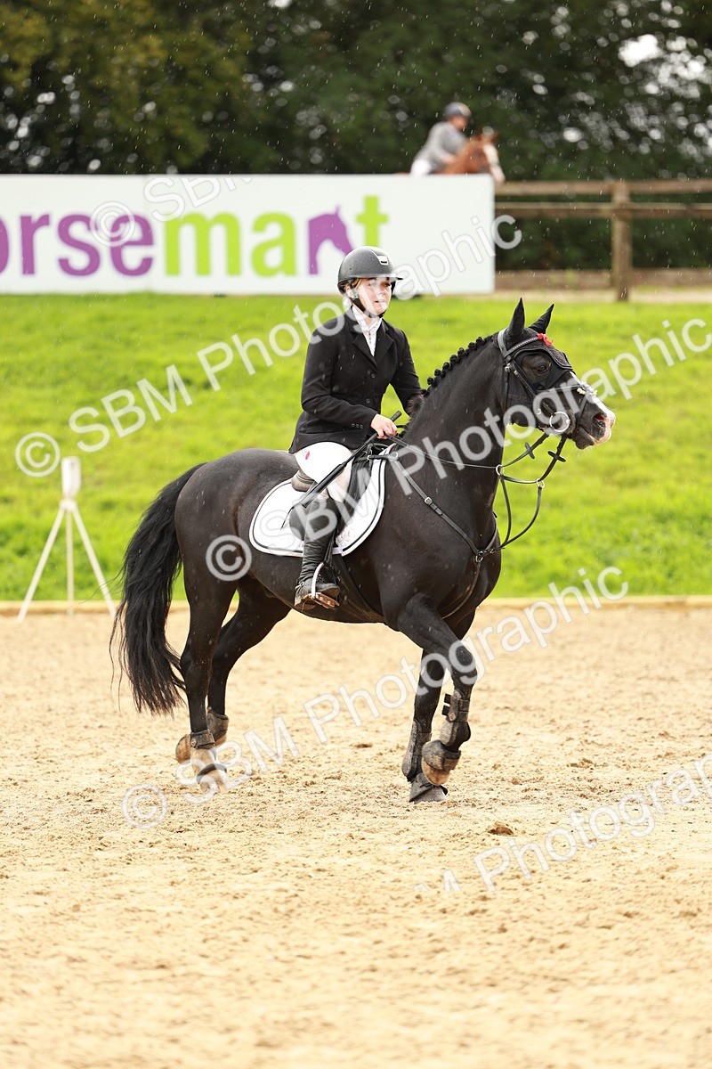 SBM_38432 - Supreme Championship 80cm 85cm