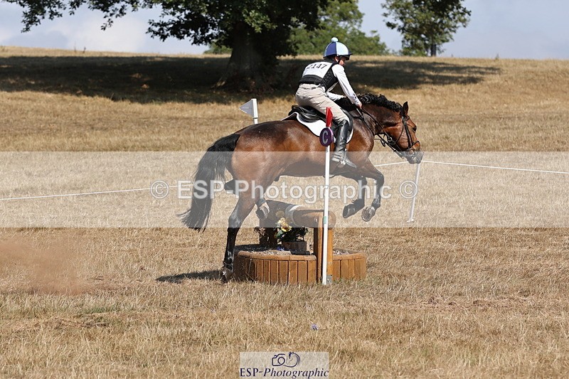 250824A-145322-39142 - 2147-George.Walford-meadow.sweet.conker