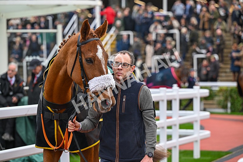 151125-Race 2-Aurea Fortuna-2579 - Race 2