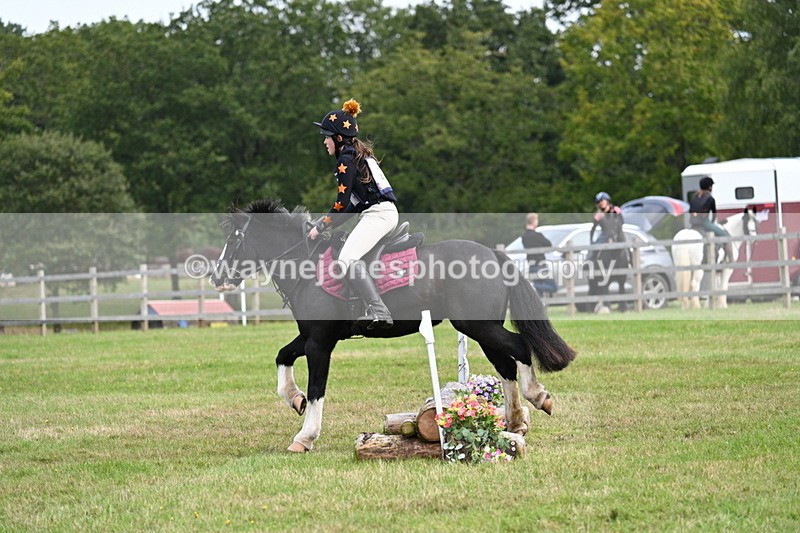 WJ7_8030 - 40cm Time 10:49 to 11:18