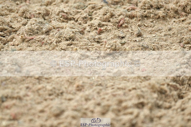 230513A-144203-01415 - Cls 38 Club 80cm