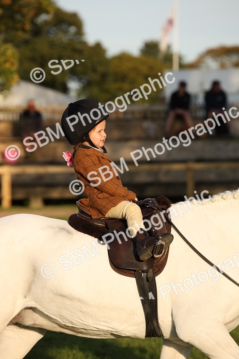 SBM_54464 - S27 - Mature Veteran - Ridden